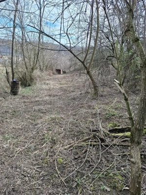 Teren de vânzare  C.Caransebesului  km 2,3 suprafață 1890 mp - imagine 3