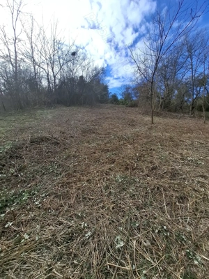 Teren de vânzare  C.Caransebesului  km 2,3 suprafață 1890 mp - imagine 2