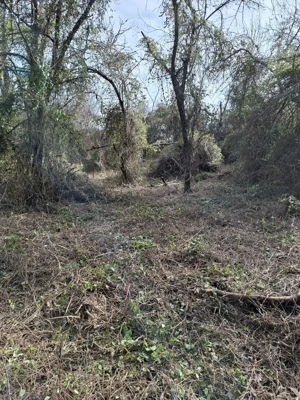 Teren de vânzare  C.Caransebesului  km 2,3 suprafață 1890 mp - imagine 6