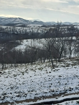 Vand sau schimb sălaș  - imagine 5