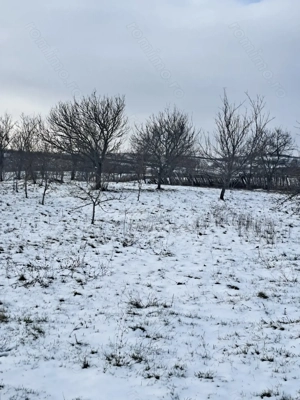 Vand sau schimb sălaș  - imagine 6