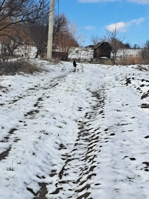 Vand sau schimb sălaș  - imagine 2