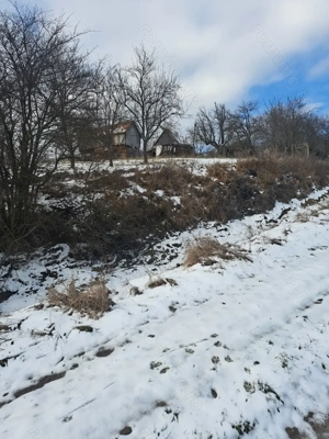 Vand sau schimb sălaș  - imagine 3