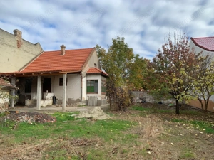 Teren intravilan 1000 mp in Lipovei - imagine 5