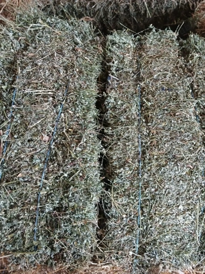 baloti lucerna de vânzare 