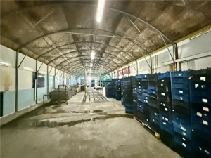 Hale de inchiriat, teren 5500 mp, acces TIR, in Iernut, zona Centru Logistic Lidl - imagine 3