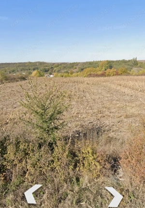 Vând teren extravilan 