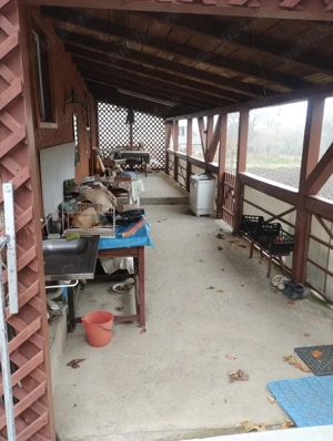 Vând casă bătrânească renovată parțial, terasa,zonă superbă lângă Bacău,sat Bălțata, comuna Sărata  - imagine 4