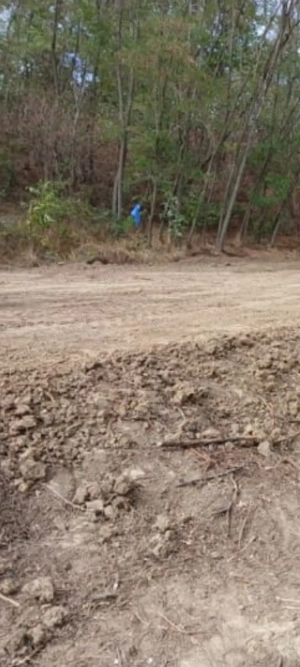 Teren intravilan, Ștefănești  - imagine 2