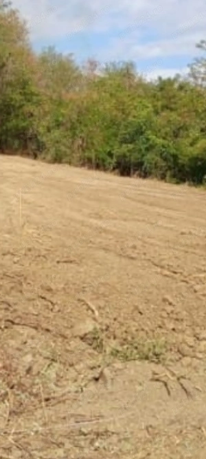 Teren intravilan, Ștefănești  - imagine 3