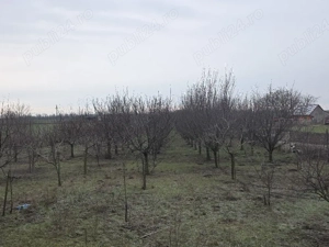 Vand casă Semlac - imagine 2