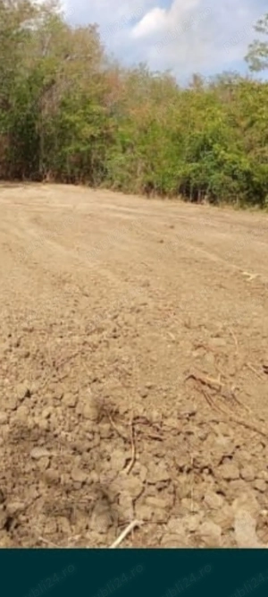 Teren intravilan, Ștefănești  - imagine 5