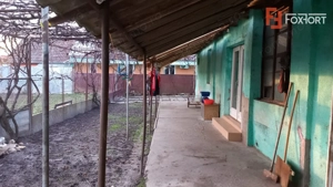 Casa individuala + hala de vanzare in Grabat  - imagine 10