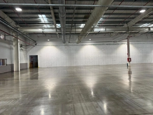 Platformă industrială   22.500 mp | Ineu, Arad - imagine 8