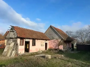 Vand Casa la Rosu - imagine 3