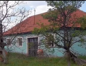 Vand casa in Sat Salajeni Jud Arad - imagine 2