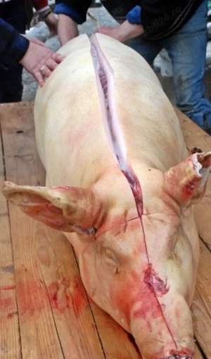 jumatate disponibila in Dobrotesti in weekend 