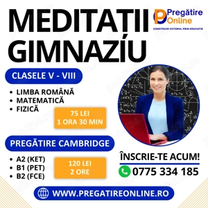 Meditatii scolare pentru gimnaziu si liceu: matematica, limba romana, informatica, fizica