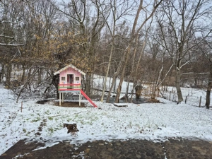 Moșia boierească din vârf de deal, Scorțeni - Prahova, comision 0% - imagine 13