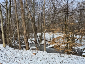 Moșia boierească din vârf de deal, Scorțeni - Prahova, comision 0% - imagine 14