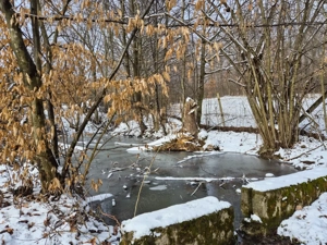 Moșia boierească din vârf de deal, Scorțeni - Prahova, comision 0% - imagine 15