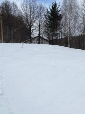 Vând teren Cheia 800 mp  - imagine 3