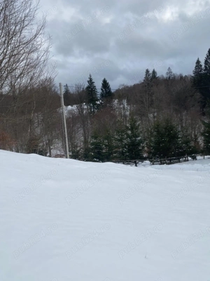 Vând teren Cheia 800 mp  - imagine 5