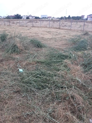 Teren intravilan de vanzare - Agigea  - Zona RO-RO, Steaua de Mare, Golful Pescarilor - imagine 5