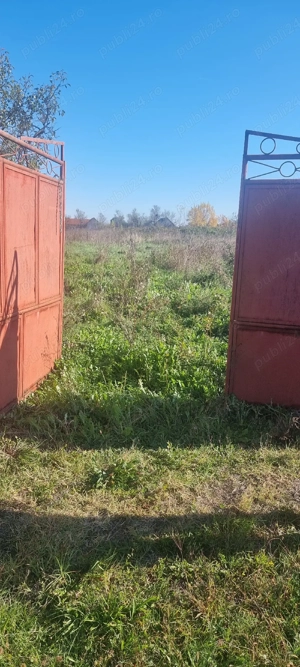 Teren intravilan in Susani - imagine 3