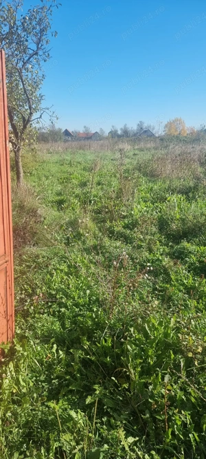 Teren intravilan in Susani - imagine 4