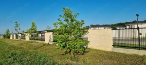 Teren premium lângă Buftea, utilități complete, cu acces la un parc 7000mp, acces rapid A0 - imagine 9