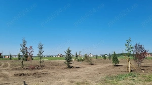 Teren premium lângă Buftea, utilități complete, cu acces la un parc 7000mp, acces rapid A0 - imagine 10