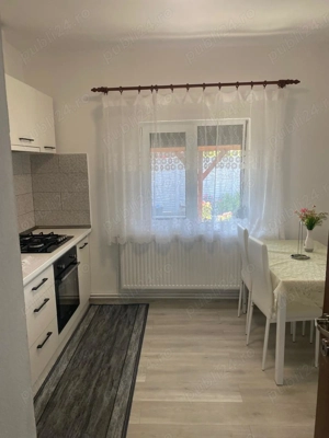 Casă de vânzare comuna Jamu Mare jud.Timis  - imagine 10