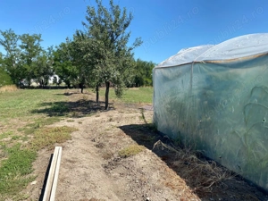 Casă de vânzare comuna Jamu Mare jud.Timis  - imagine 5