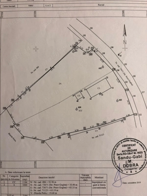 Teren 1000m2 Valea Voievozilor - imagine 8
