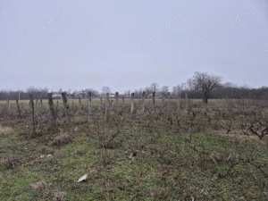 vand casa cu teren 8750mp - imagine 6