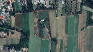 vand casa cu teren 8750mp - imagine 3