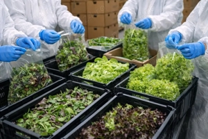 Angajăm.cupluri la.banda in.Olanda 