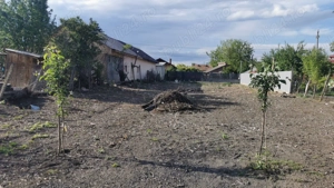 Teren 1.200 mp în centrul comunei Stâlpu   35.000 euro