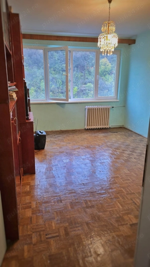 Apartament 2 camere cu vedere la Dunăre   Centrul Orșovei - imagine 6