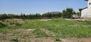 Teren intravilan 1000 mp - imagine 6