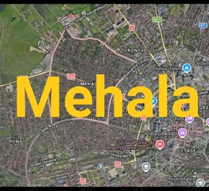 PROPRIETAR   Mehala semicentral | ideal casă familie sau proiect (P+E)