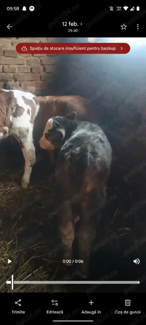 Vand 7 vitei  - imagine 3