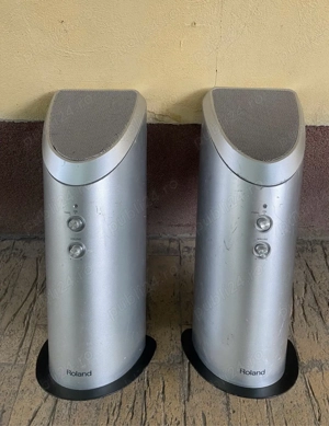 Roland PM-01 amplificatoare tobe electronice