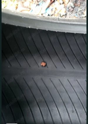 205/65/R15 anvelope vara  - imagine 4