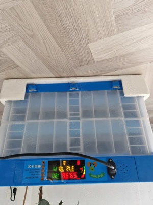 Incubator 120 ouă găina. 