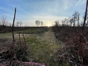 Casa de vanzare Craiesti  - imagine 10