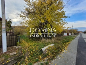 Vanzare teren intravilan, 4967  mp, utilitati, sat Rasova, Balesti. - imagine 5