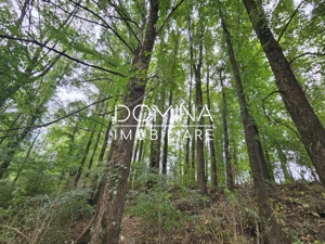 Vânzare teren intravilan suprafață 5.822 mp,  în Tg. Jiu - cartier Iezureni  - imagine 9