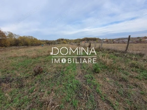 Vanzare teren intravilan, 4967  mp, utilitati, sat Rasova, Balesti. - imagine 3